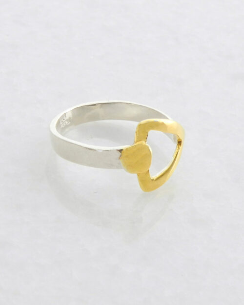 Silber-Ring mit vergoldeten Details 2-Color